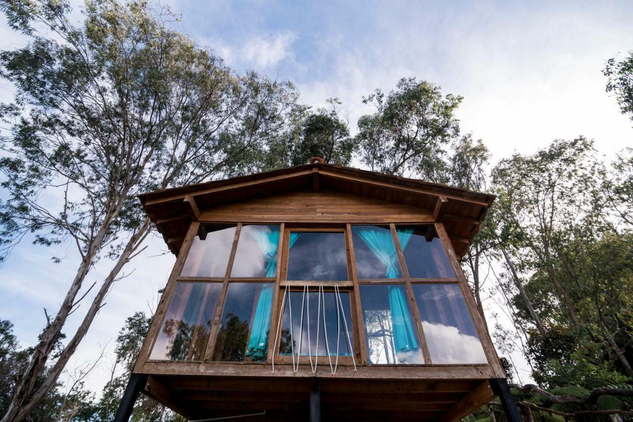 Bacoa Hostel Guatapé Dış mekan fotoğraf