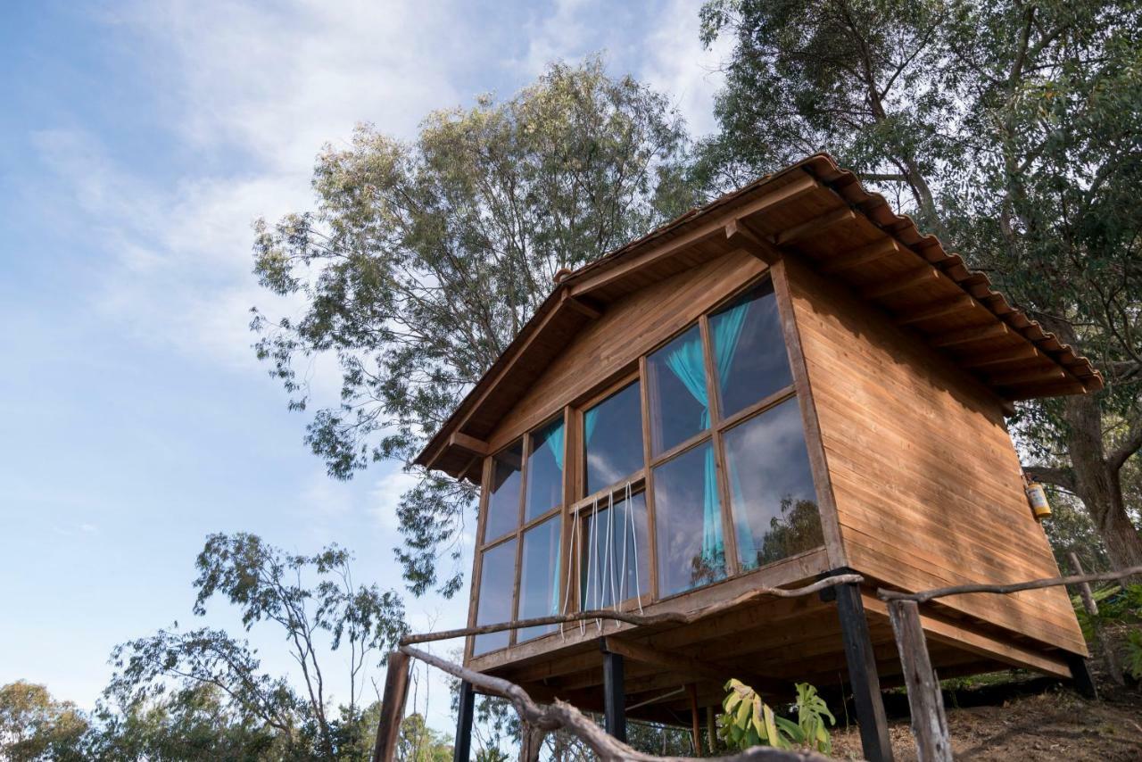 Bacoa Hostel Guatapé Dış mekan fotoğraf